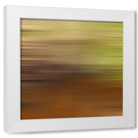 Pinstripes XXXI White Modern Wood Framed Art Print by Grayscale