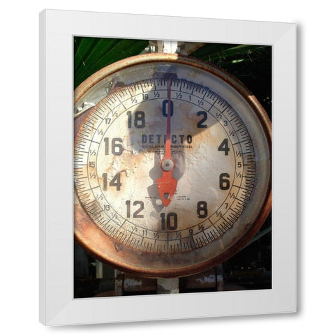 Scale Face White Modern Wood Framed Art Print by Grayscale