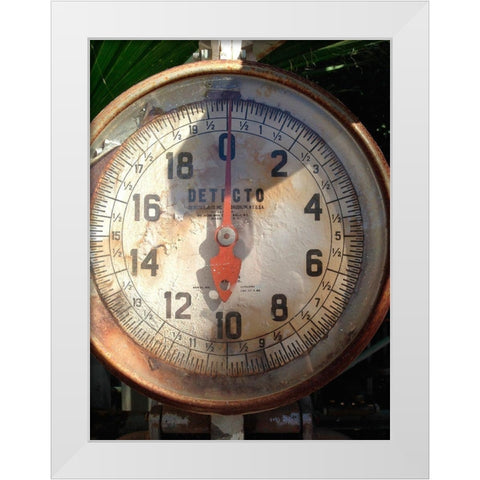 Scale Face White Modern Wood Framed Art Print by Grayscale