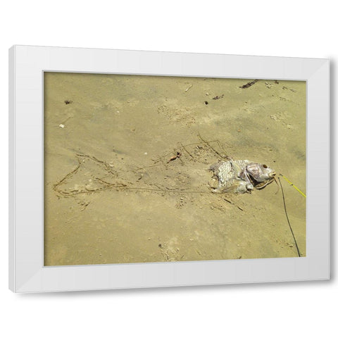 Fish Sketch I White Modern Wood Framed Art Print by Grayscale