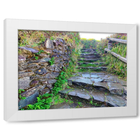 Stone Stairs II White Modern Wood Framed Art Print by Grayscale