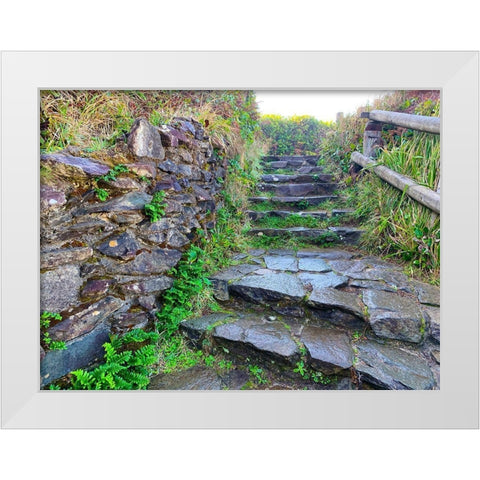 Stone Stairs II White Modern Wood Framed Art Print by Grayscale