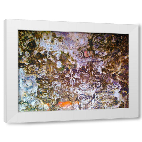 Eroded Stucco I White Modern Wood Framed Art Print by Grayscale