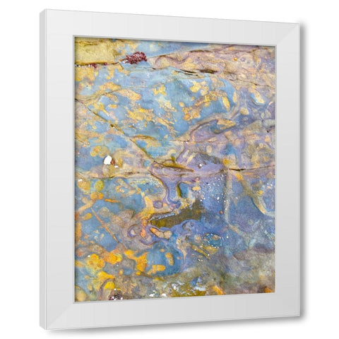 Oxidized Sand I White Modern Wood Framed Art Print by Grayscale