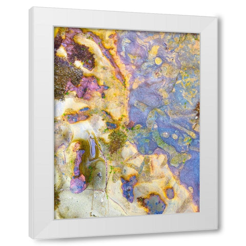 Oxidized Sand III White Modern Wood Framed Art Print by Grayscale