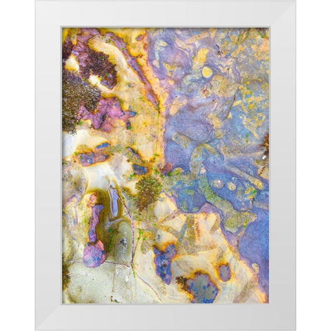 Oxidized Sand III White Modern Wood Framed Art Print by Grayscale