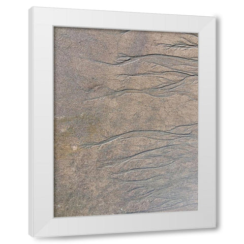 Wet Sand IV White Modern Wood Framed Art Print by Grayscale