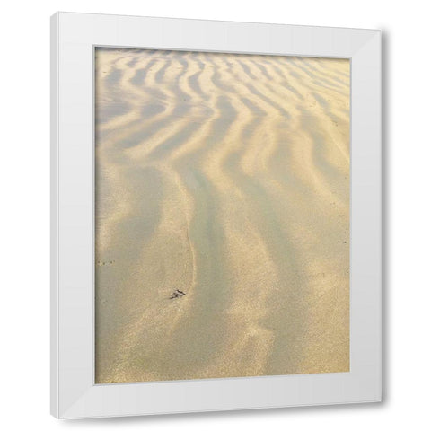 Sand Prints VI White Modern Wood Framed Art Print by Grayscale