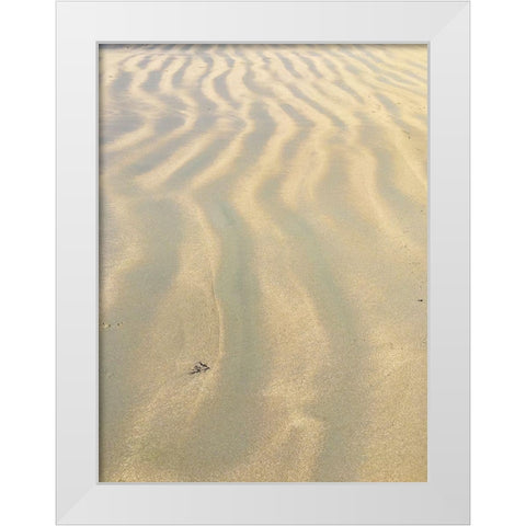 Sand Prints VI White Modern Wood Framed Art Print by Grayscale