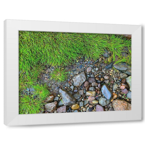 Boundary I White Modern Wood Framed Art Print by Grayscale