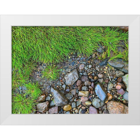 Boundary I White Modern Wood Framed Art Print by Grayscale