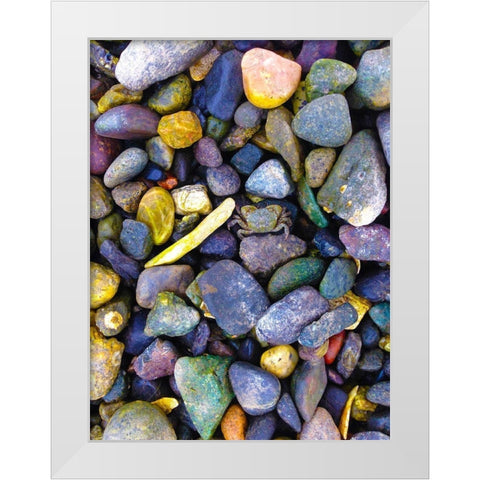 Natural Camo I White Modern Wood Framed Art Print by Grayscale