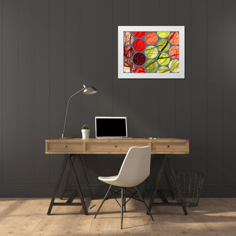 Circle Textures IV White Modern Wood Framed Art Print by Grayscale