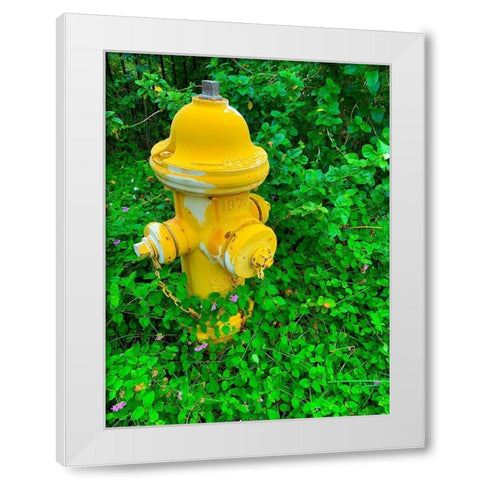 Cozy Hydrant White Modern Wood Framed Art Print by Grayscale