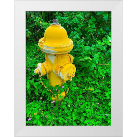 Cozy Hydrant White Modern Wood Framed Art Print by Grayscale