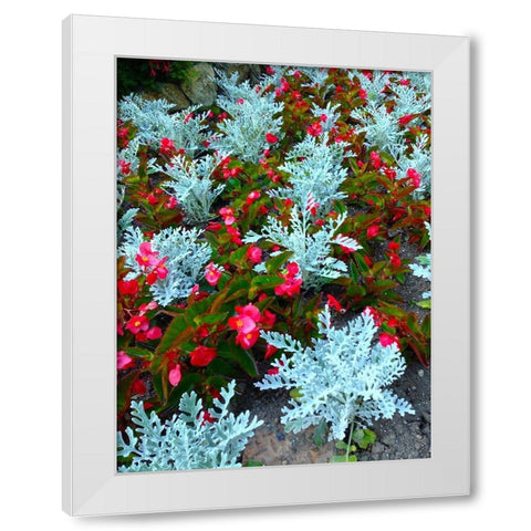 White and Red I White Modern Wood Framed Art Print by Grayscale
