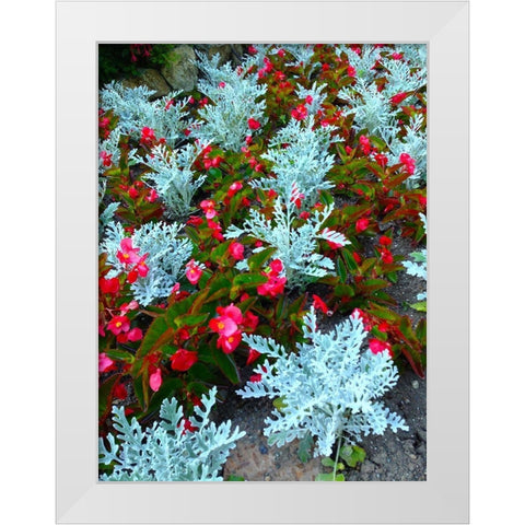 White and Red I White Modern Wood Framed Art Print by Grayscale