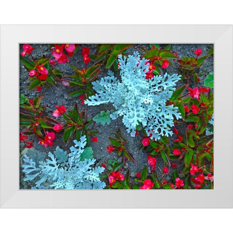White and Red II White Modern Wood Framed Art Print by Grayscale