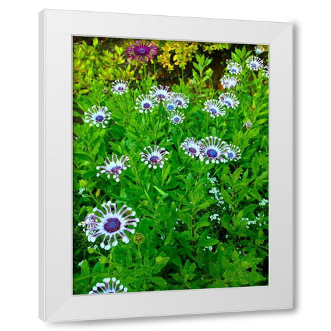 White and Purple I White Modern Wood Framed Art Print by Grayscale