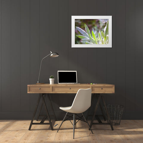 Silver Leaves I White Modern Wood Framed Art Print by Grayscale