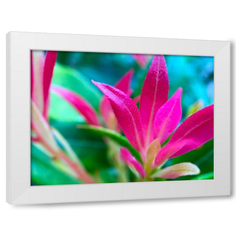 Pink Leaves I White Modern Wood Framed Art Print by Grayscale
