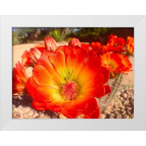 Hedgehogs I White Modern Wood Framed Art Print by Grayscale