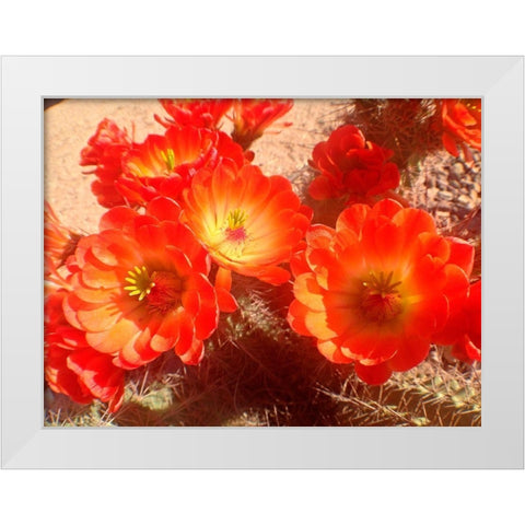 Hedgehogs II White Modern Wood Framed Art Print by Grayscale