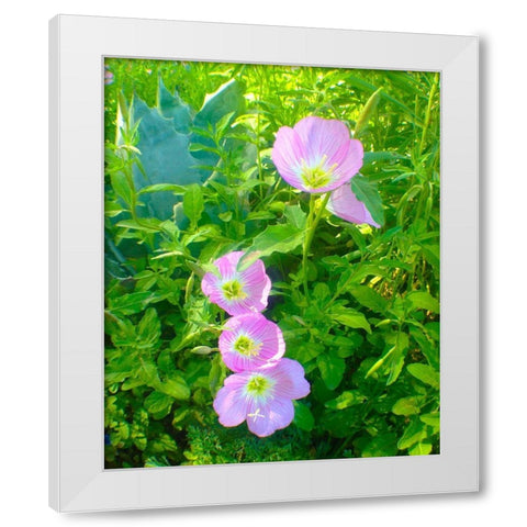 Geraniums I White Modern Wood Framed Art Print by Grayscale
