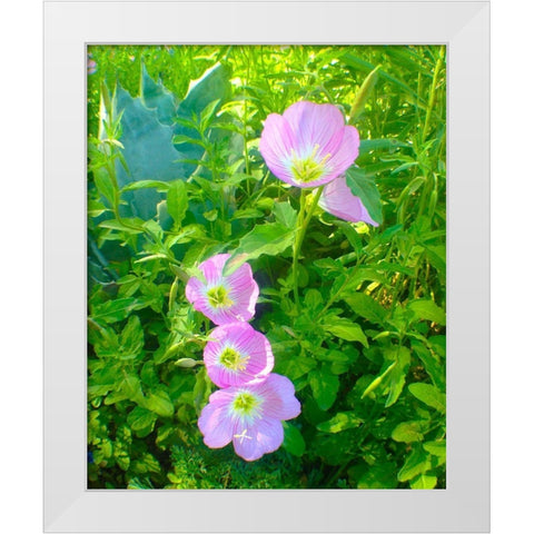 Geraniums I White Modern Wood Framed Art Print by Grayscale