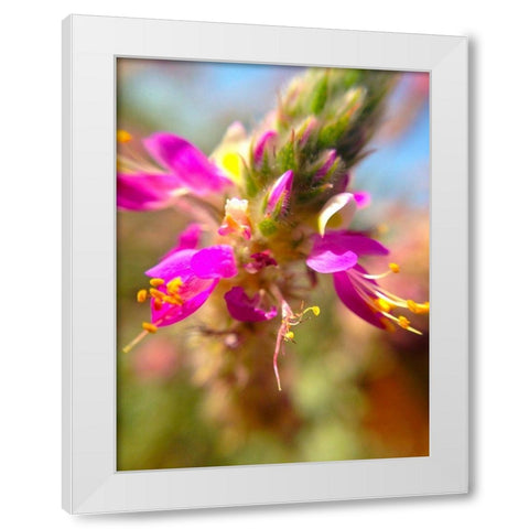 Exploding Buds I White Modern Wood Framed Art Print by Grayscale