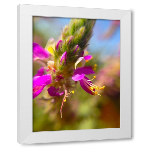 Exploding Buds II White Modern Wood Framed Art Print by Grayscale