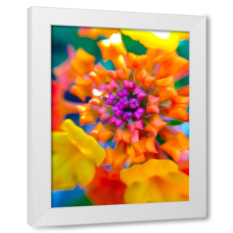 Kaleidoscope V White Modern Wood Framed Art Print by Grayscale