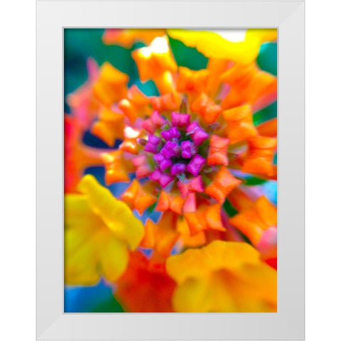Kaleidoscope V White Modern Wood Framed Art Print by Grayscale