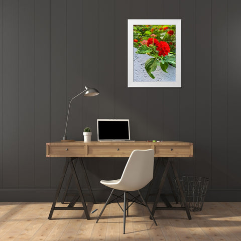 Lantana IV White Modern Wood Framed Art Print by Grayscale