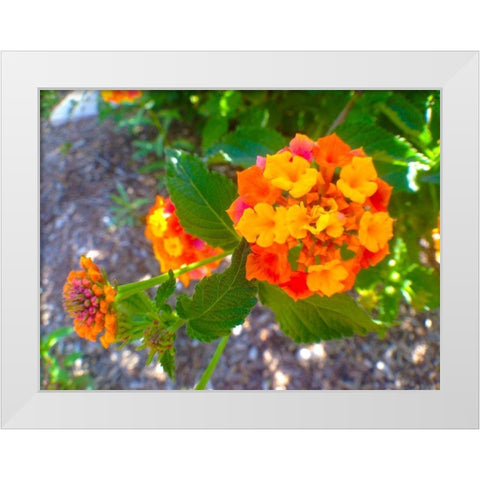 Lantana V White Modern Wood Framed Art Print by Grayscale