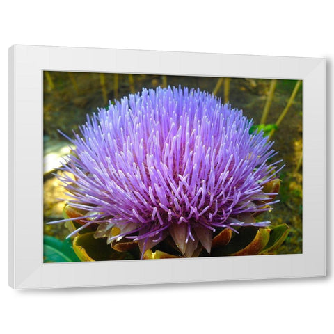Purple Fingers I White Modern Wood Framed Art Print by Grayscale