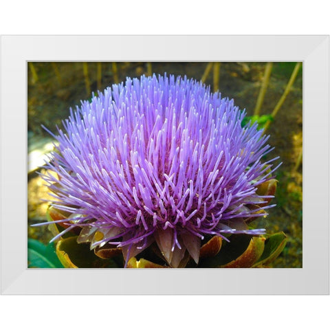 Purple Fingers I White Modern Wood Framed Art Print by Grayscale