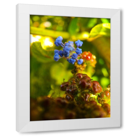 Waking Wildflowers I White Modern Wood Framed Art Print by Grayscale