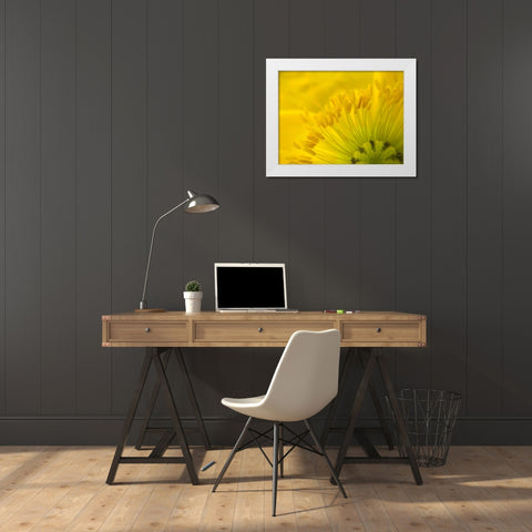 Yellow Wildflower V White Modern Wood Framed Art Print by Grayscale