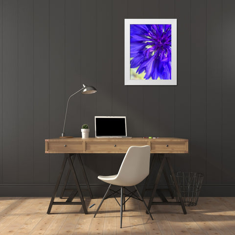 Purple Wildflower I White Modern Wood Framed Art Print by Grayscale
