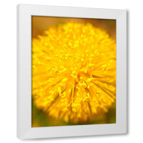 Yellow Ball I White Modern Wood Framed Art Print by Grayscale