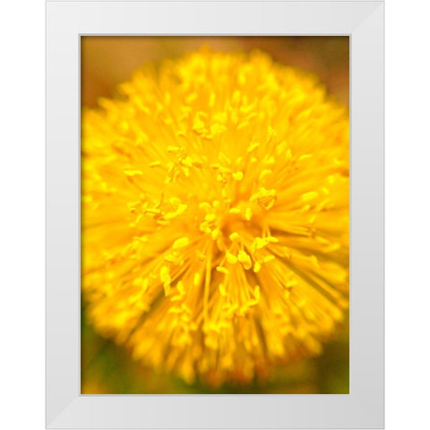 Yellow Ball I White Modern Wood Framed Art Print by Grayscale