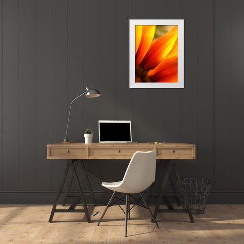 Orange Wildflower IV White Modern Wood Framed Art Print by Grayscale