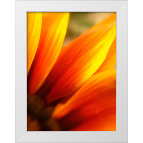 Orange Wildflower IV White Modern Wood Framed Art Print by Grayscale