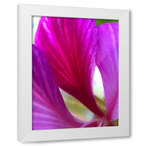 Pink Leaves II White Modern Wood Framed Art Print by Grayscale