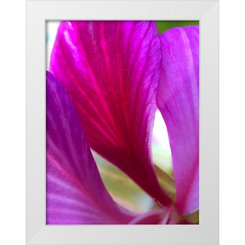 Pink Leaves II White Modern Wood Framed Art Print by Grayscale