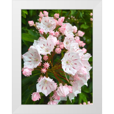 Parachutes I White Modern Wood Framed Art Print by Grayscale