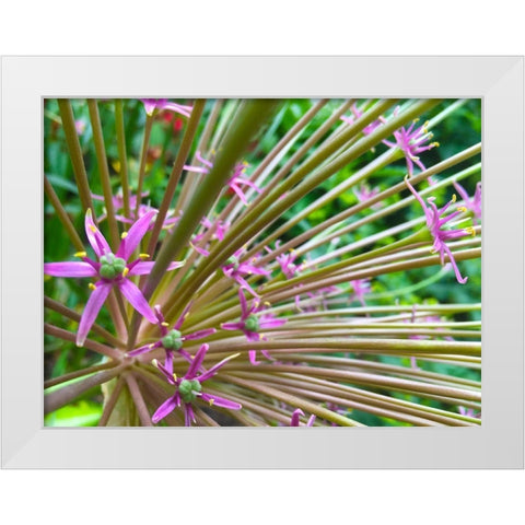 Spines I White Modern Wood Framed Art Print by Grayscale