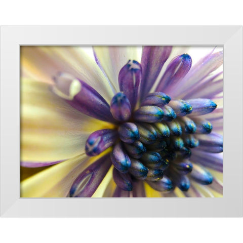 Bloom I White Modern Wood Framed Art Print by Grayscale