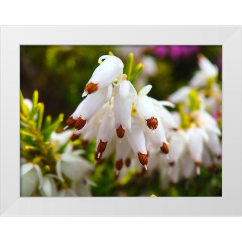 White Cluster I White Modern Wood Framed Art Print by Grayscale